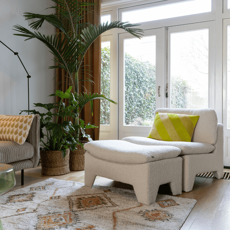 So schaffen Sie einen urbanen Dschungel in Ihrem Wohnzimmer! - Green Bubble