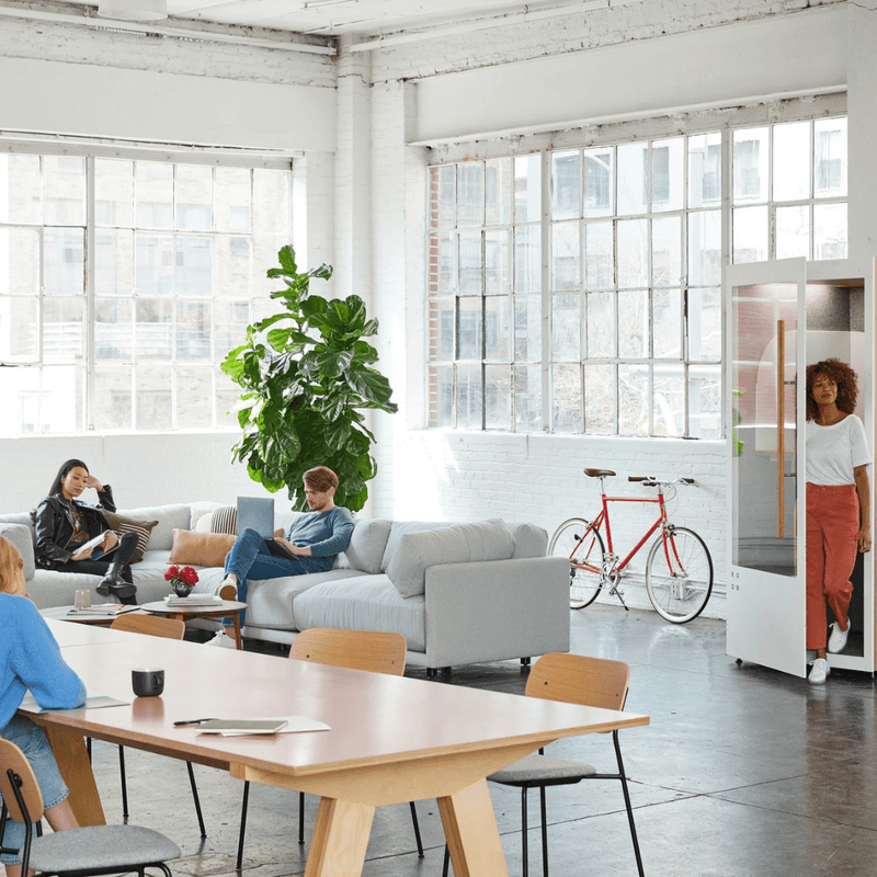 Vorteile von Pflanzen im Büro - Green Bubble