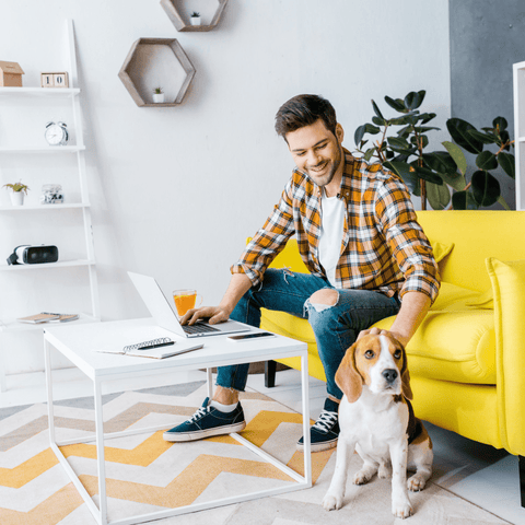 These trendy plants are safe for your pet