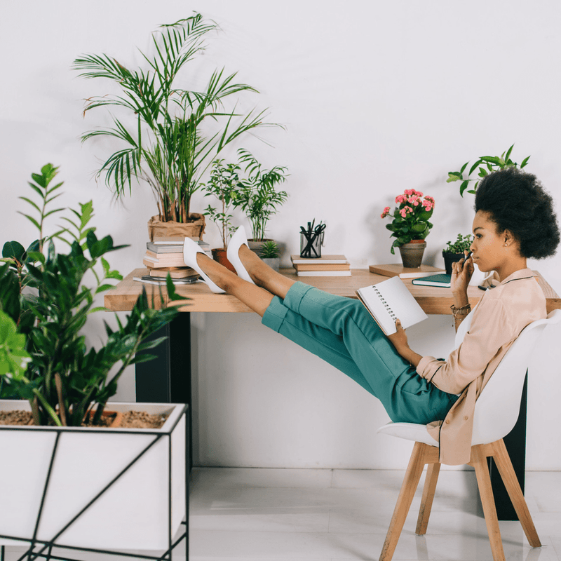 Stress? Diese Pflanzen helfen Ihnen zu entspannen - Green Bubble
