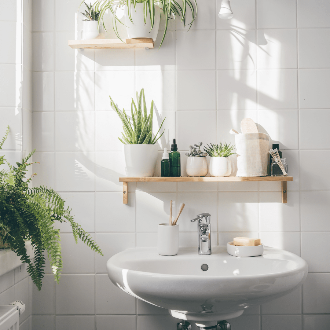 Create a botanical spa oasis in your bathroom with plants - Green Bubble