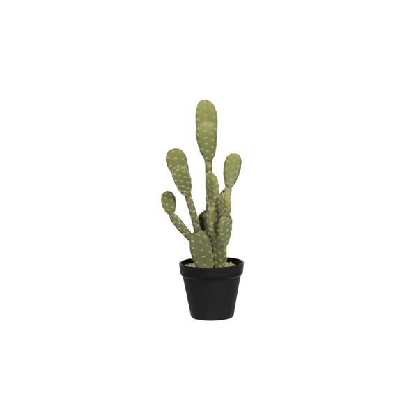 Kunst Cactus