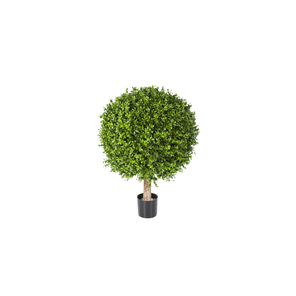 Kunst Buxus