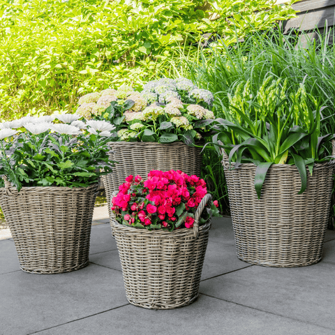 Weidenkörbe