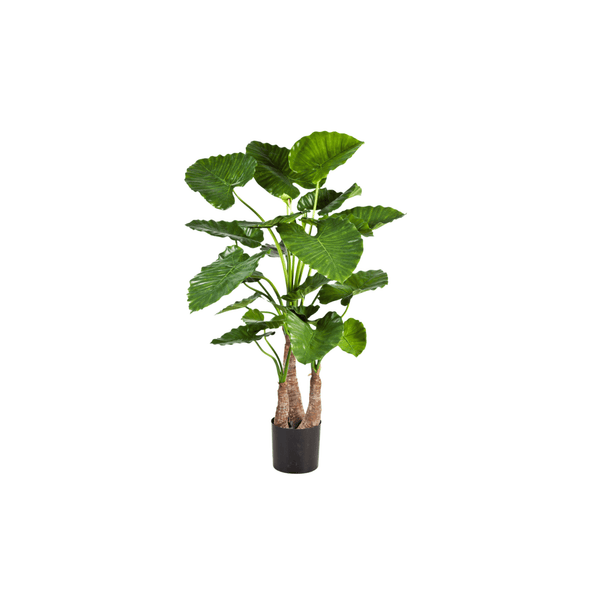 Kunst Alocasia (Olifantsoorplant)