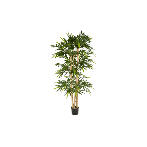 Kunst Bamboe collectie Green Bubble