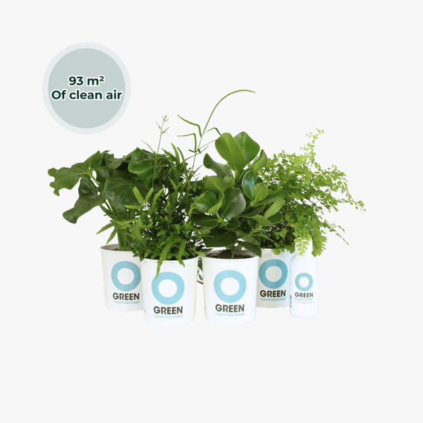 Ogreen collectie Green Bubble