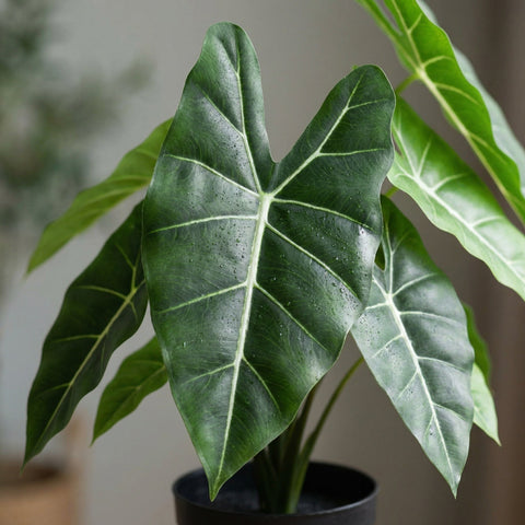 Alocasia artificielle (plante à oreilles d'éléphant) collectie Green Bubble