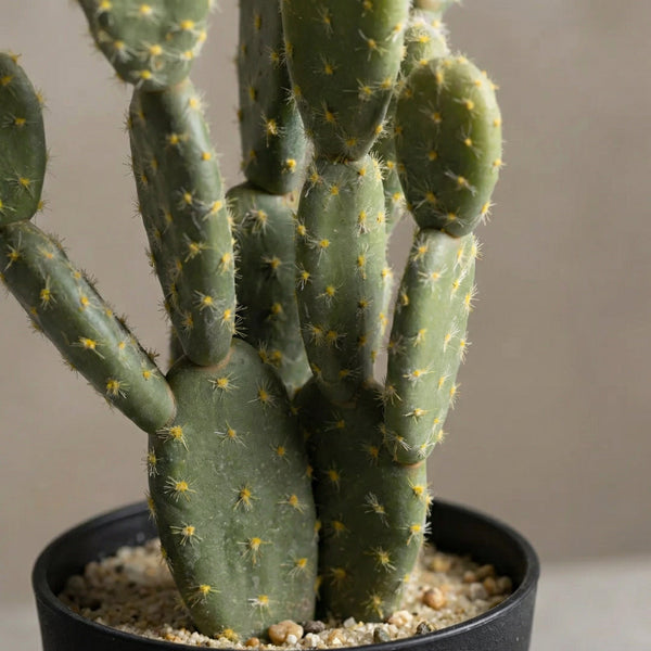 Kunst Cactus collectie Green Bubble