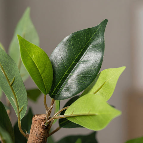 Art Ficus collectie Green Bubble