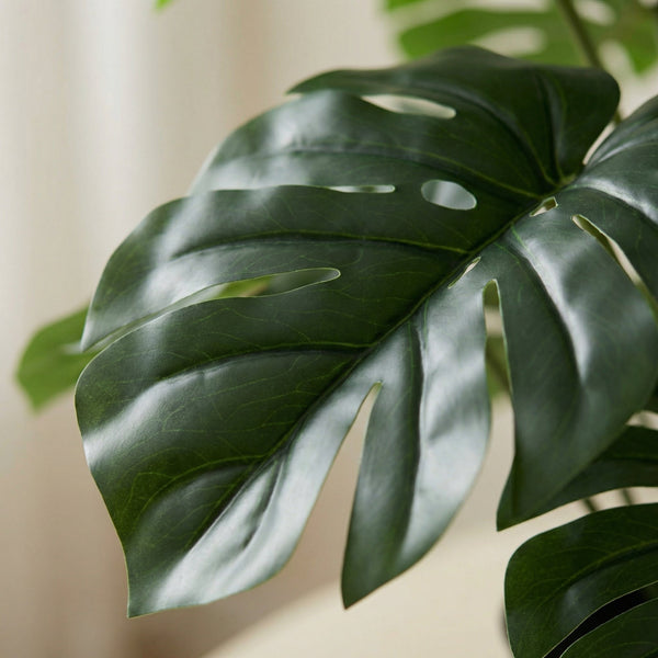 Künstliche Monstera collectie Green Bubble