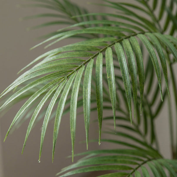 Kunstpalme collectie Green Bubble
