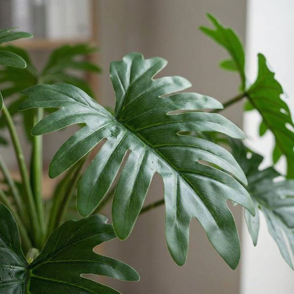 Künstlicher Philodendron collectie Green Bubble