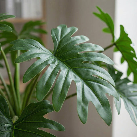 Kunst Philodendron