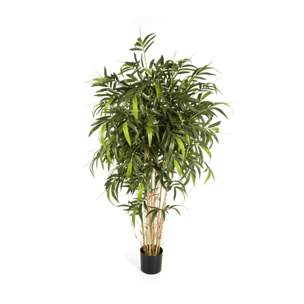 Kunst Bamboe New Naturel collectie Green Bubble
