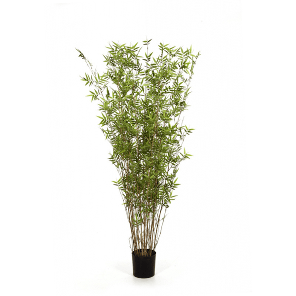 Kunst Bamboe Oriental