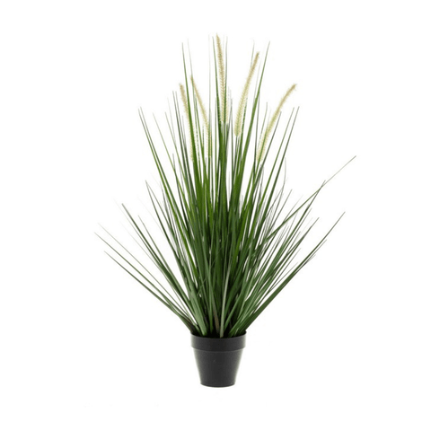 Gazon artificiel Alopecurus