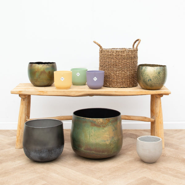 Binnen potten en manden collectie Green Bubble