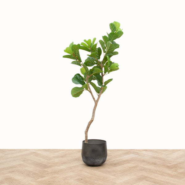 Plantes artificielles