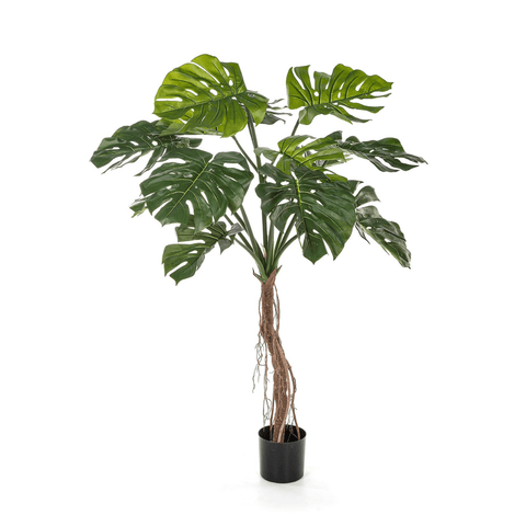 Art Philodendron Split Philo