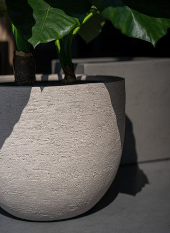 Pots et paniers d'extérieur