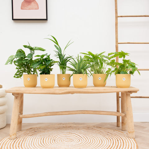 Paquets de rabais petits