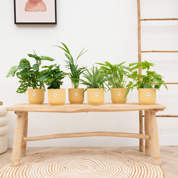 Voordeelpakketten klein