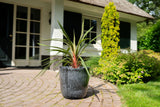 Product afbeelding 3