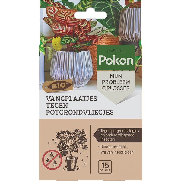 Pokon Bio Gelbsticker gegen Trauermücken 15 Stück