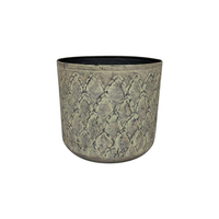 Pot Nicke thyme