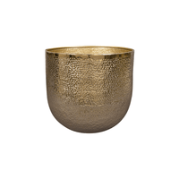 Pot Kristy goud