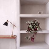 Product afbeelding 2