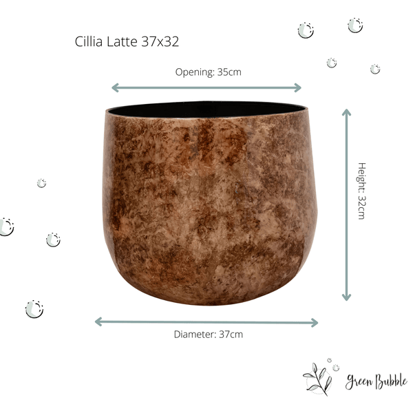 pot Cilia latte