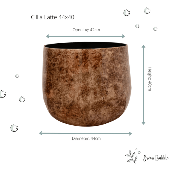 pot Cilia latte