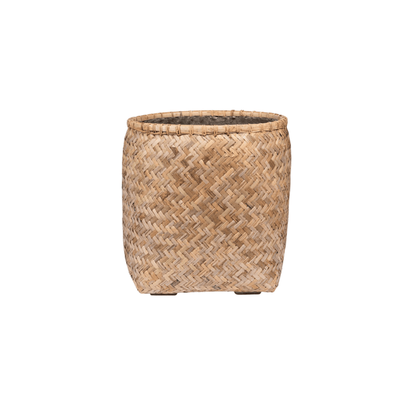 Pot Zayn bamboo