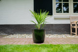 Product afbeelding 2