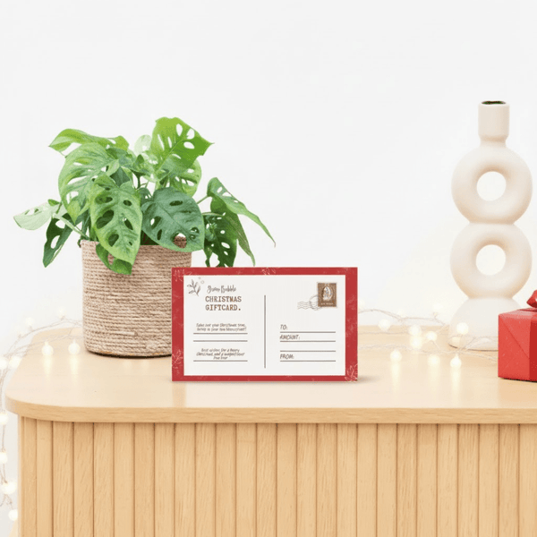 Monstera Monkey leaf inclusief mand Scott + kerst cadeaubon 100 euro