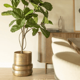 Product afbeelding 7