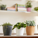 Pot Elho Brussels Round moss green