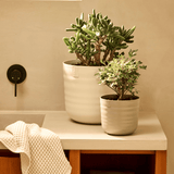 Maceta Elho Dune Round beige