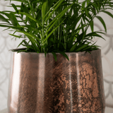 Product afbeelding 2