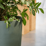 Product afbeelding 2