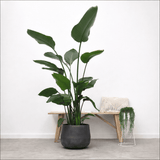 Product afbeelding 1