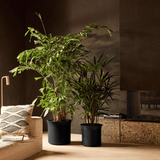 Product afbeelding 2
