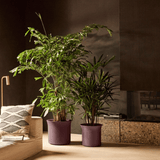 Product afbeelding 2