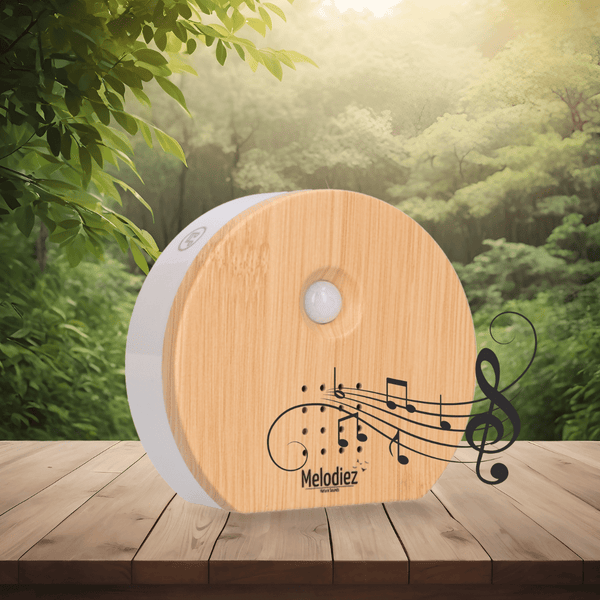Melody Nature Box kopen bij Green Bubble