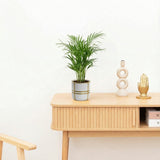 Product afbeelding 2