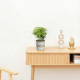 Product afbeelding 2