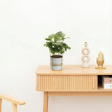 Product afbeelding 2