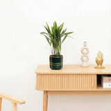 Product afbeelding 2